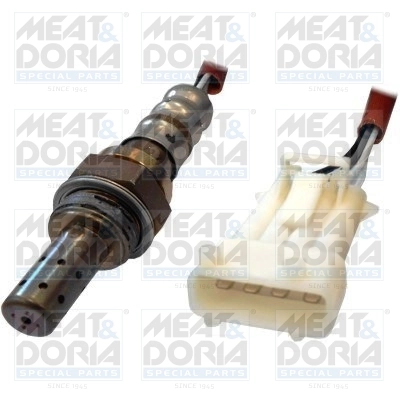 Oxygen Sensor